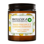 אירוויק בוטניקה נר בניחוח אננס.jpg