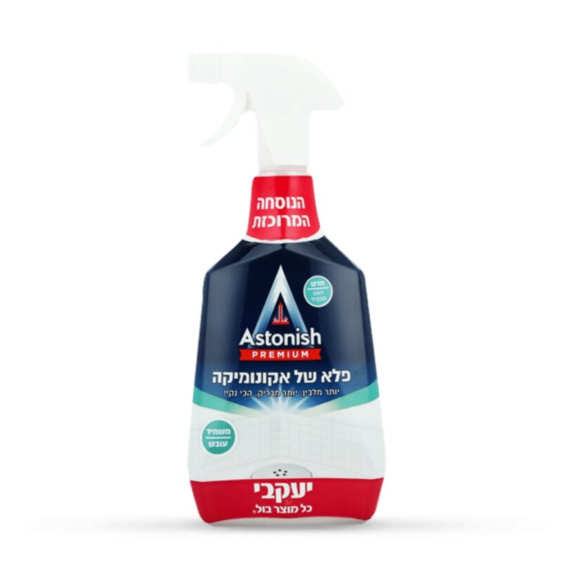 עיצוב ללא שם 81.jpg