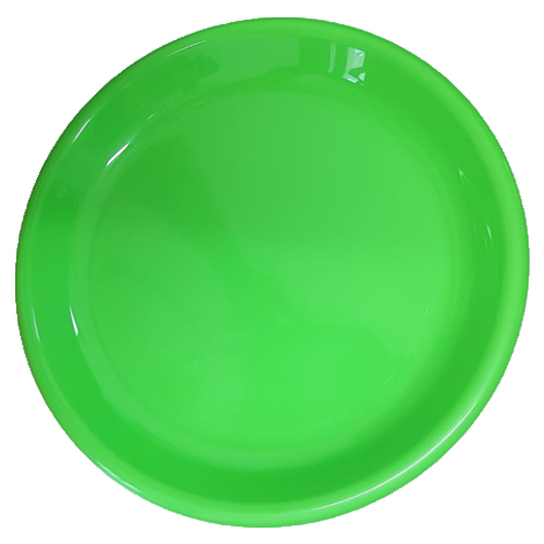 צלחת פלסטיק מידה 9 ירוק.jpg