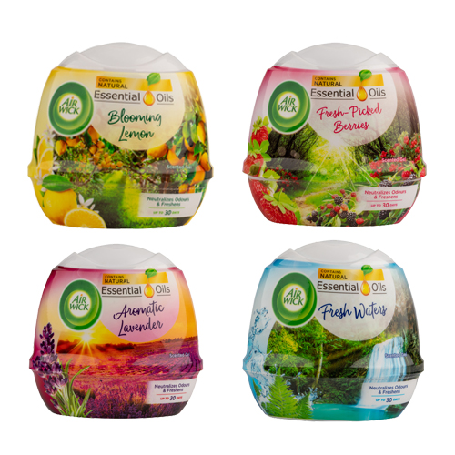 4 יח מטהר אויר מוצק.jpg