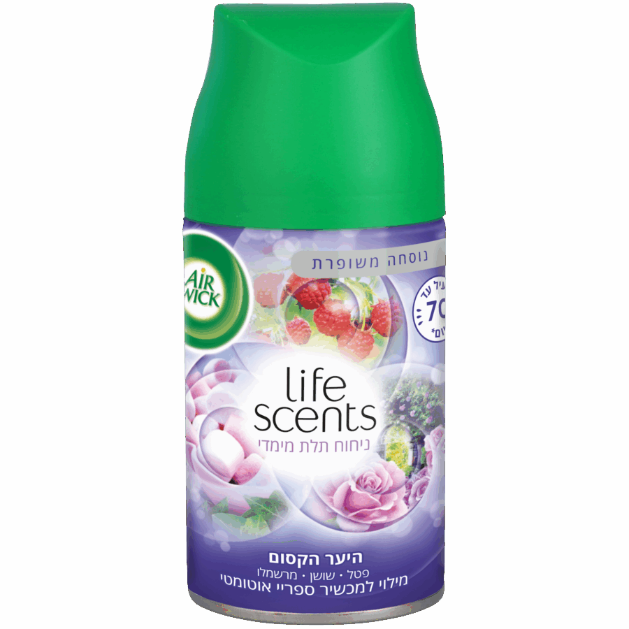 7290101869917 7290101869917