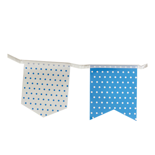 דגלים כחול לבן.jpg