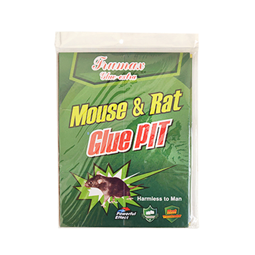 מלכודת עכברים.jpg