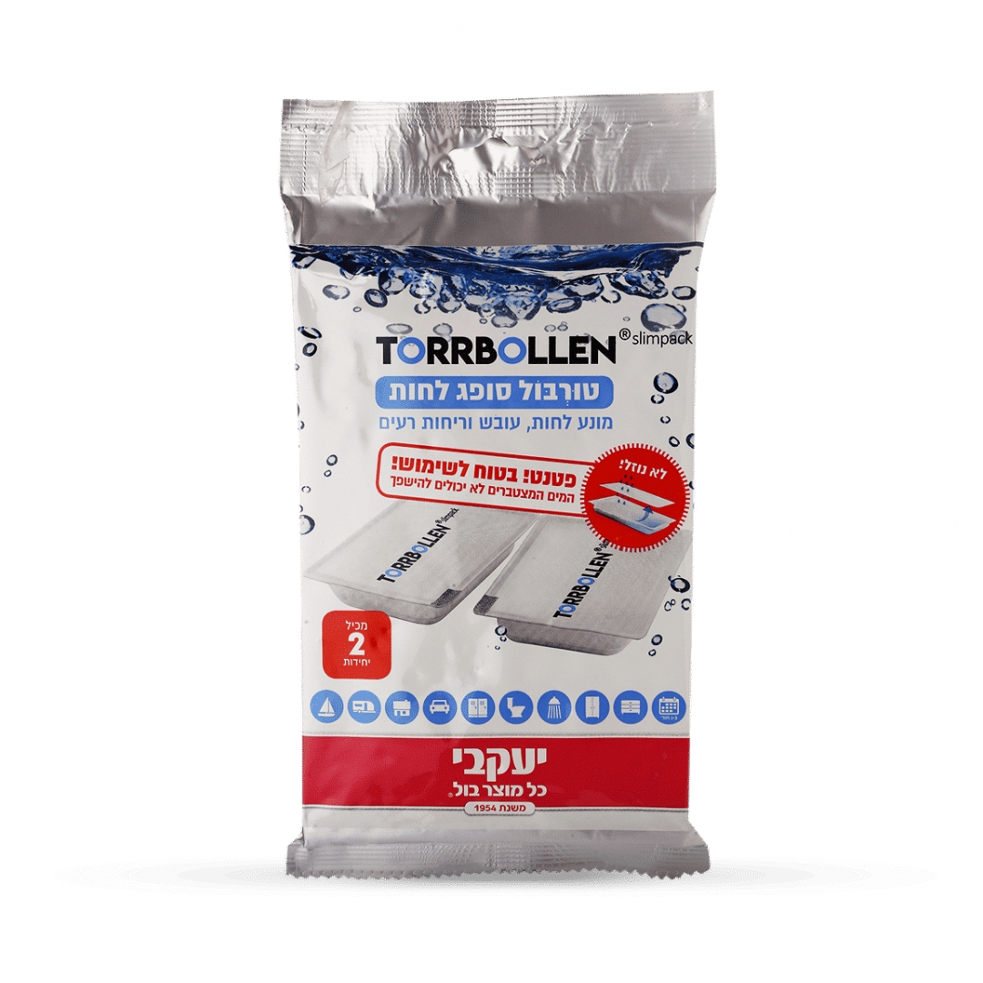 עיצוב ללא שם 2024 09 13t152148.962.jpg