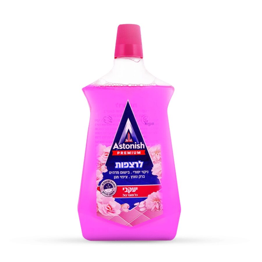 עיצוב ללא שם 2024 09 13t152814.477.jpg