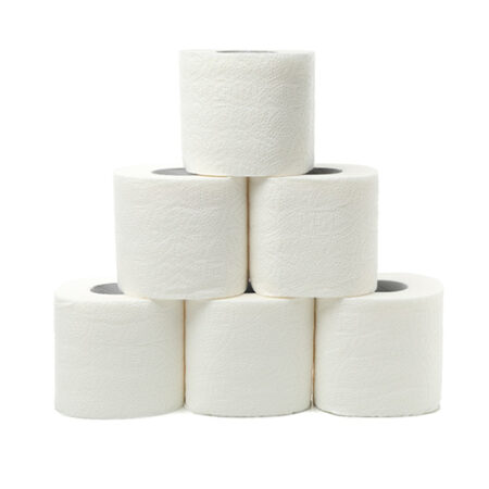 נייר טואלט קומפאקט 450x450